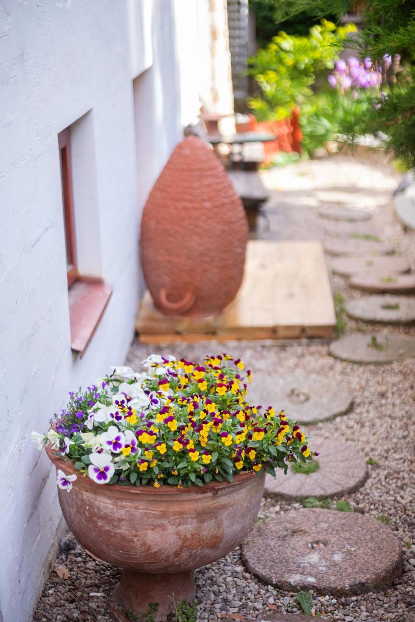 House Of Sun Bed & Breakfast Vilnius Ngoại thất bức ảnh